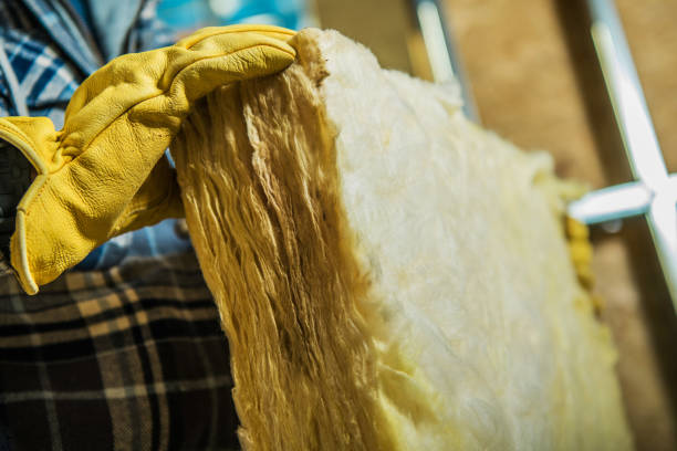 Best Geographic-Specific Insulation Services in Langhorne Manor, PA
